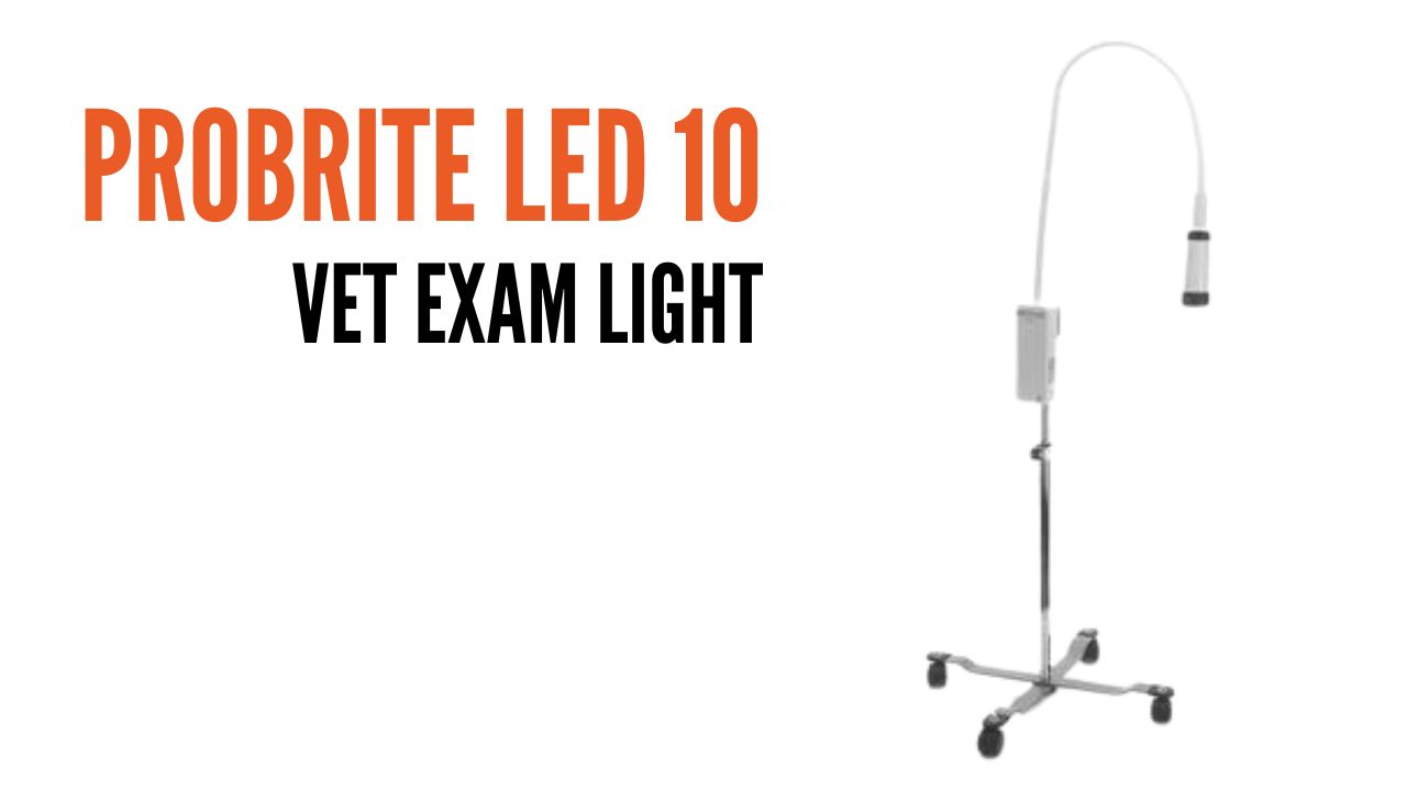 ProBrite LED 10 Exam Light