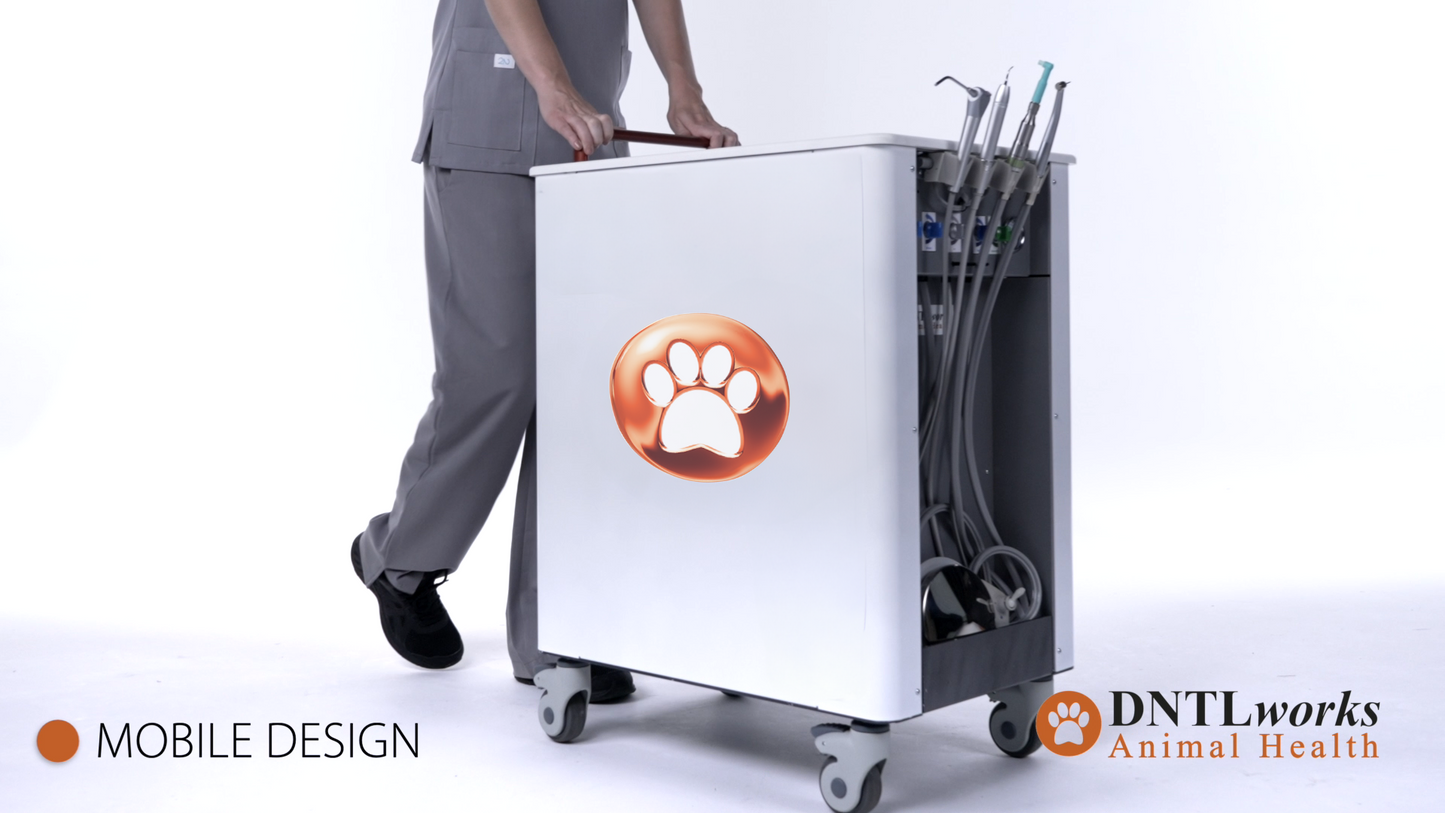 VCP II Dental Treatment Console