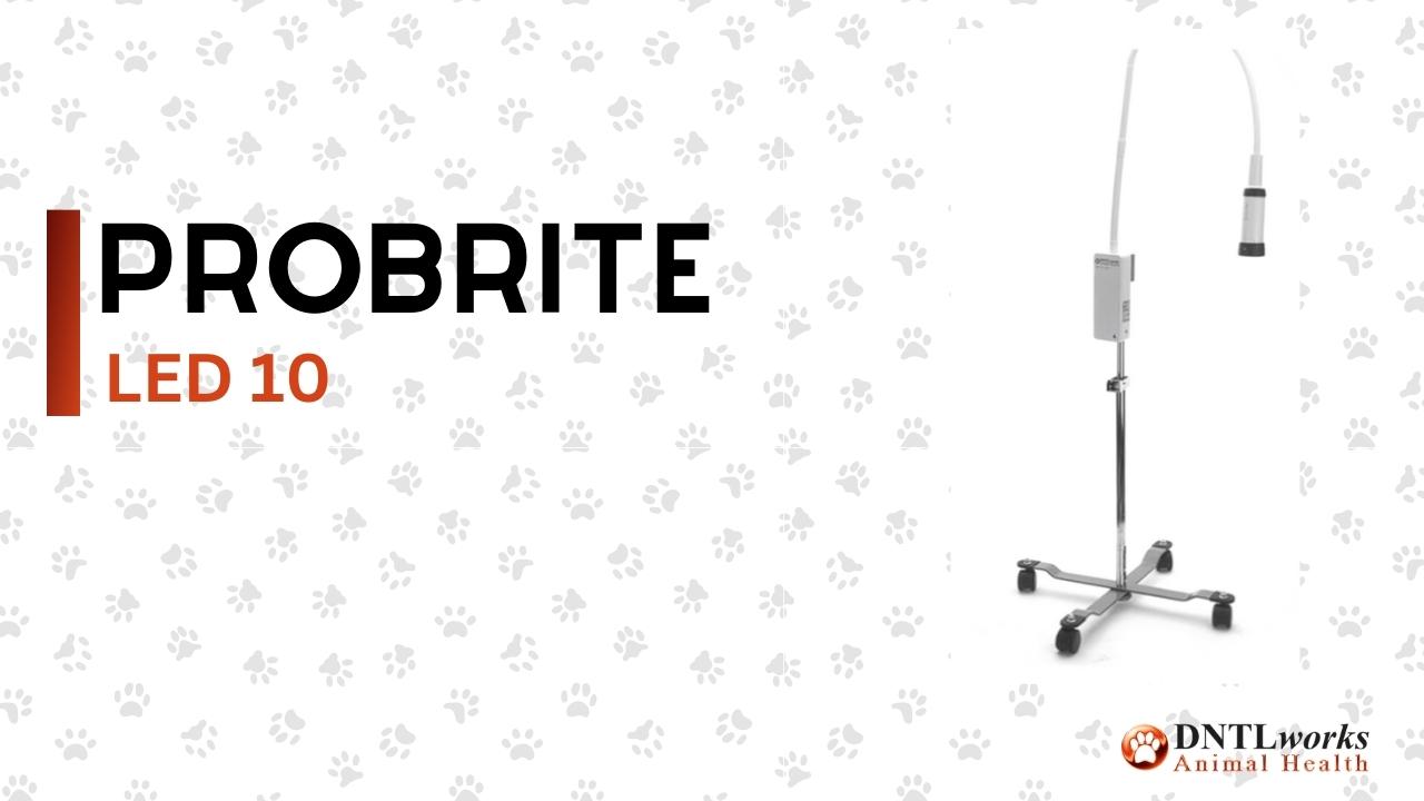 ProBrite LED 10 Exam Light