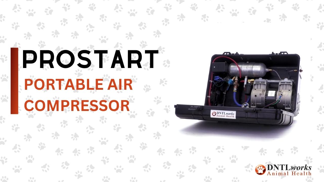ProStart Air Compressor