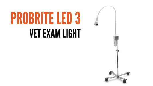 ProBrite Portable LED 3