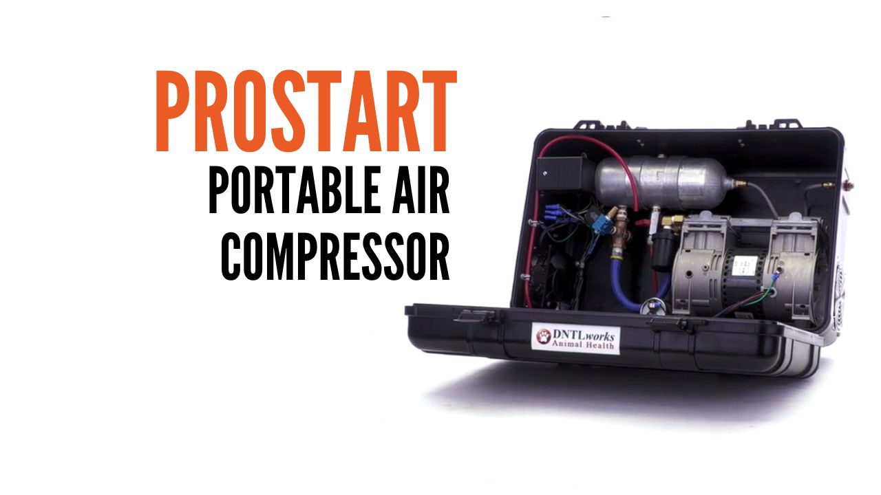 ProStart Air Compressor