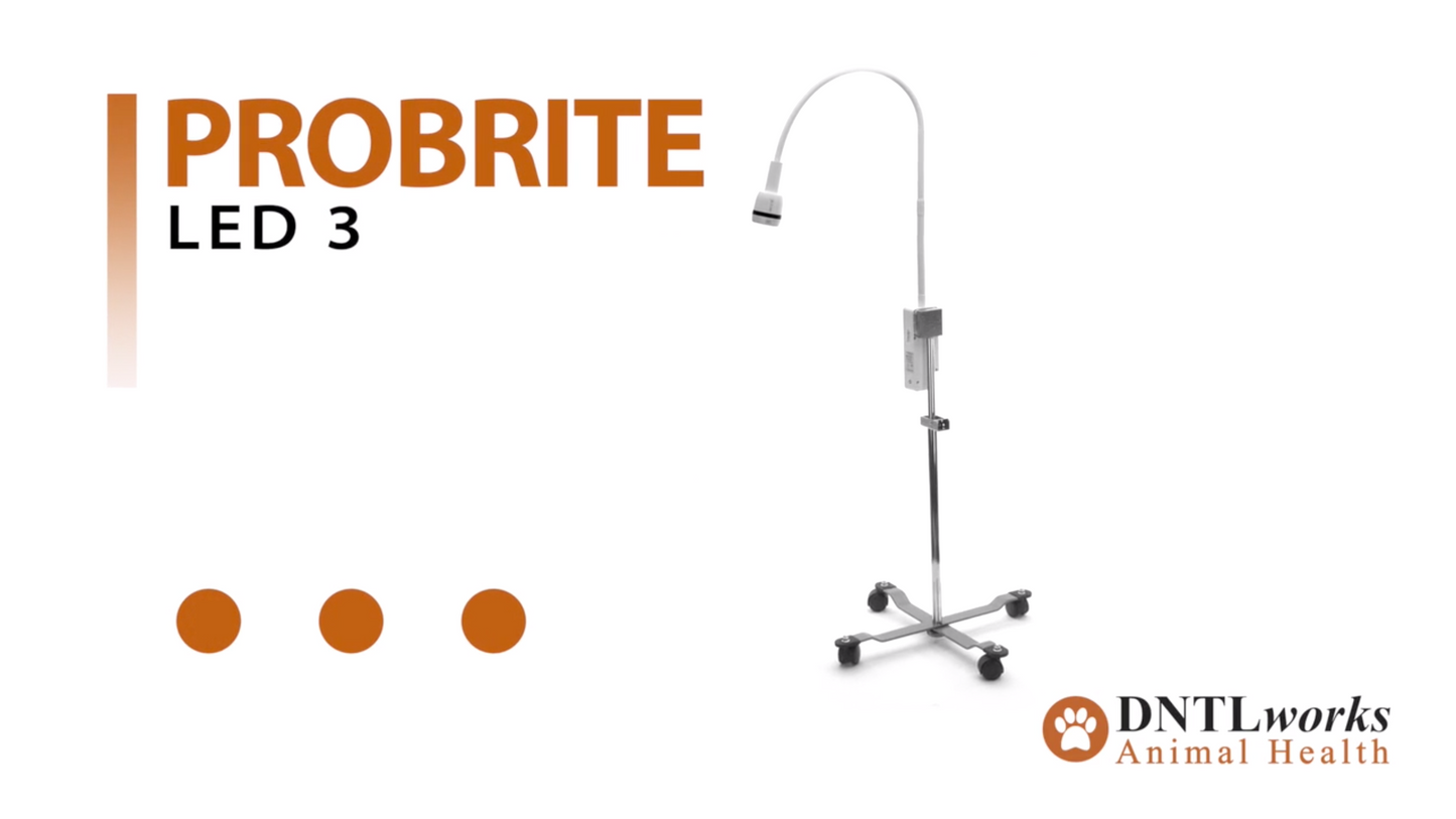 ProBrite Portable LED 3