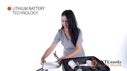 Cocoon Portable X-Ray Gun