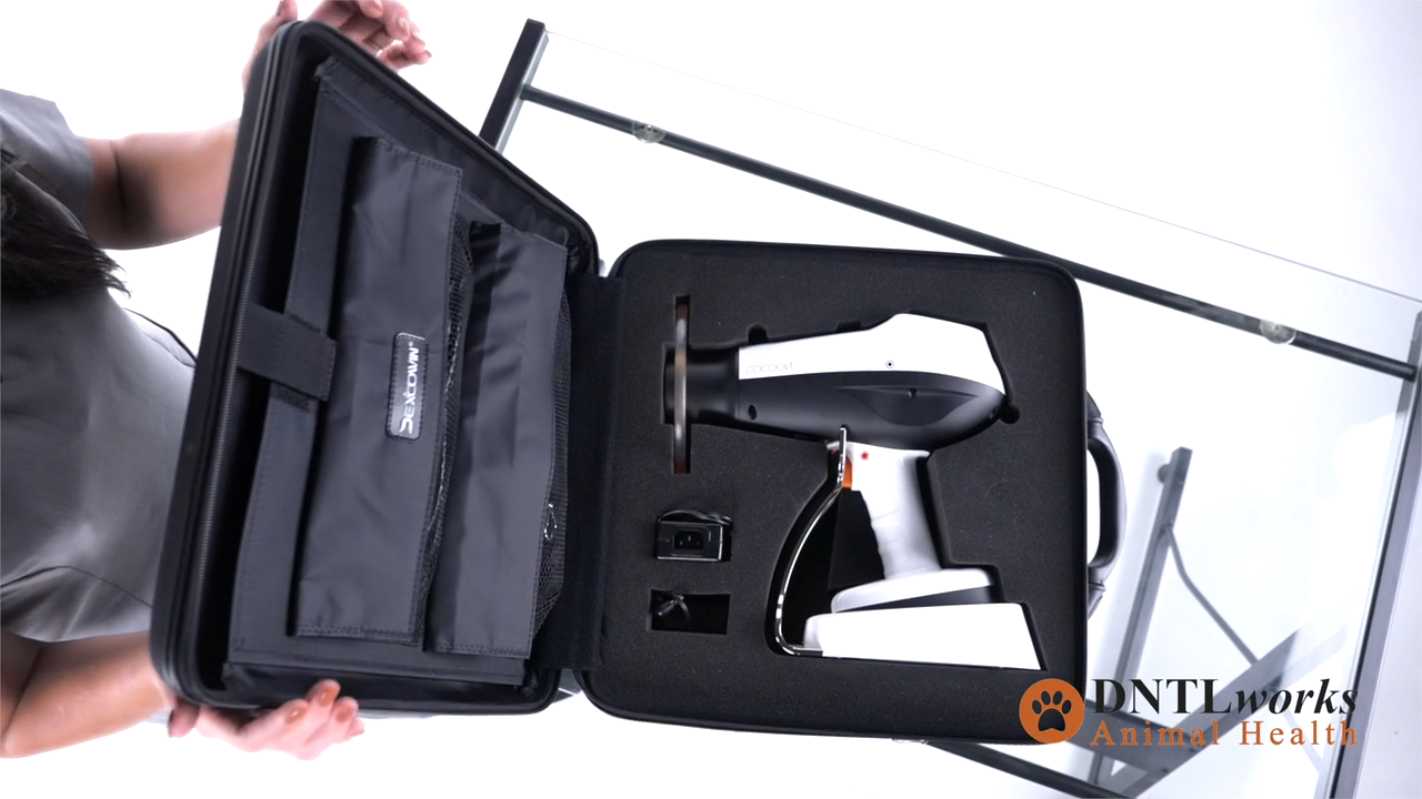 Cocoon Portable X-Ray Gun