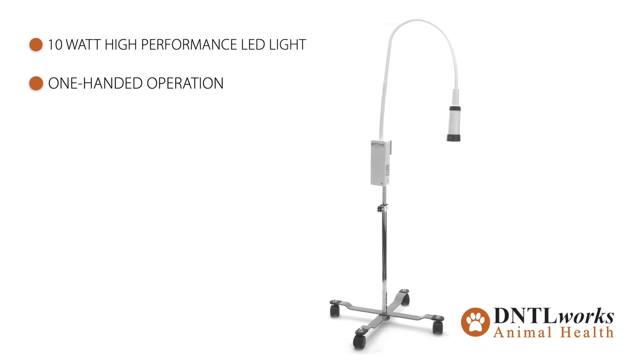 ProBrite LED 10 Exam Light