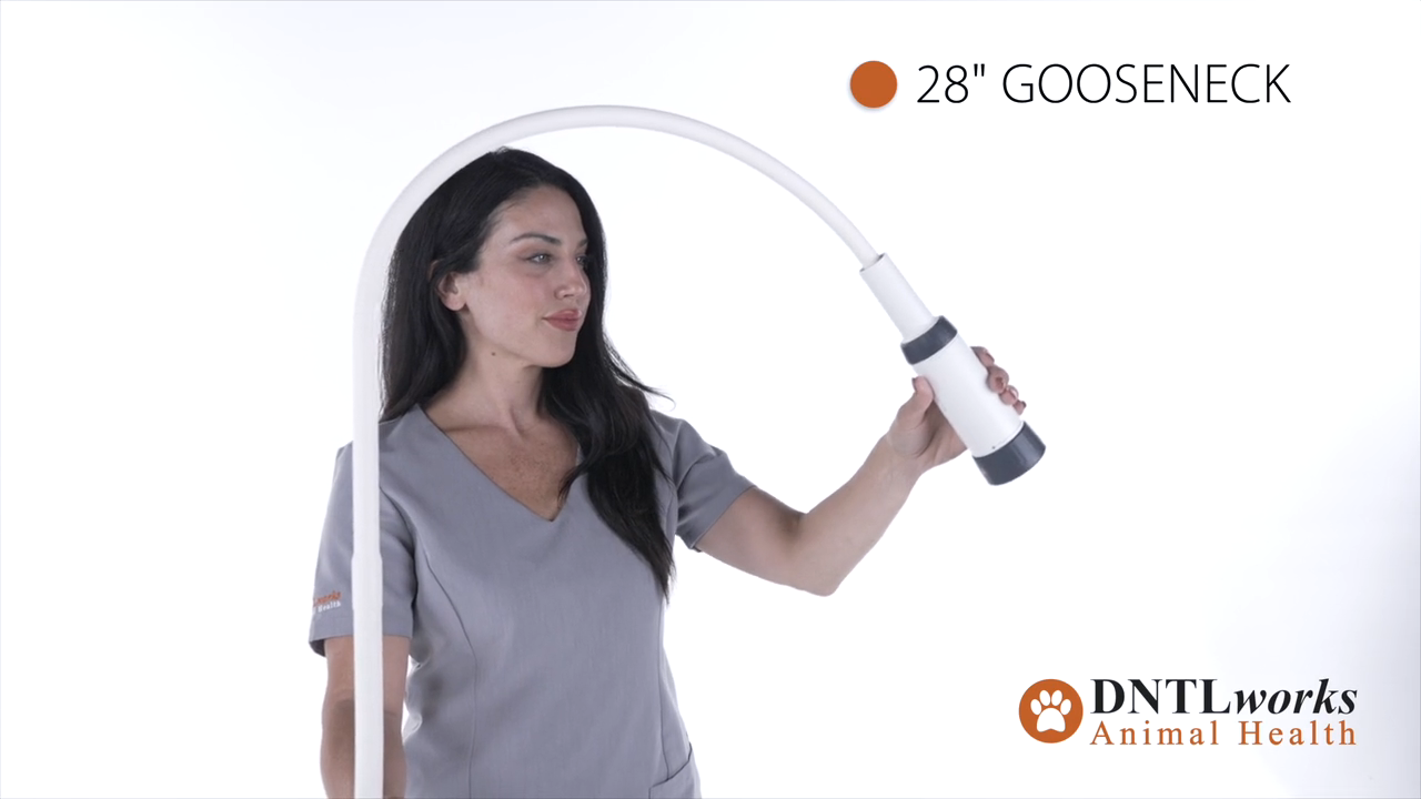 ProBrite LED 10 Exam Light