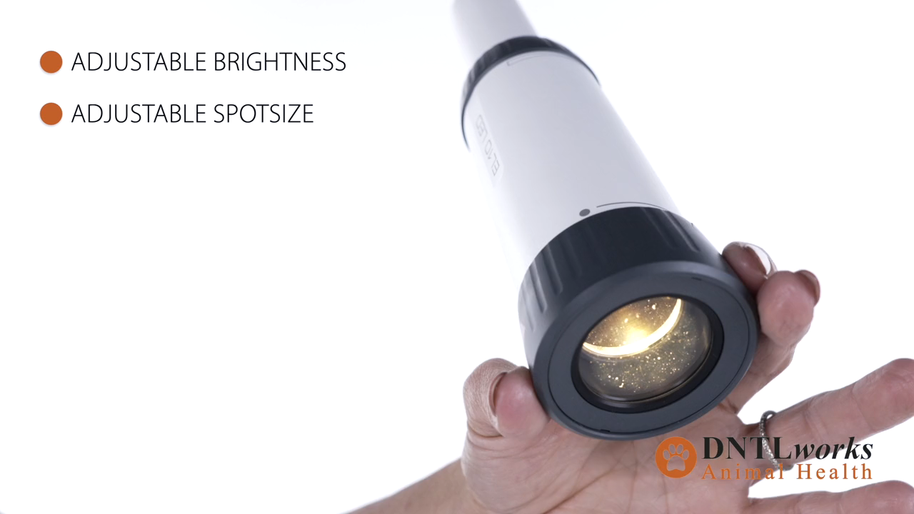 ProBrite LED 10 Exam Light