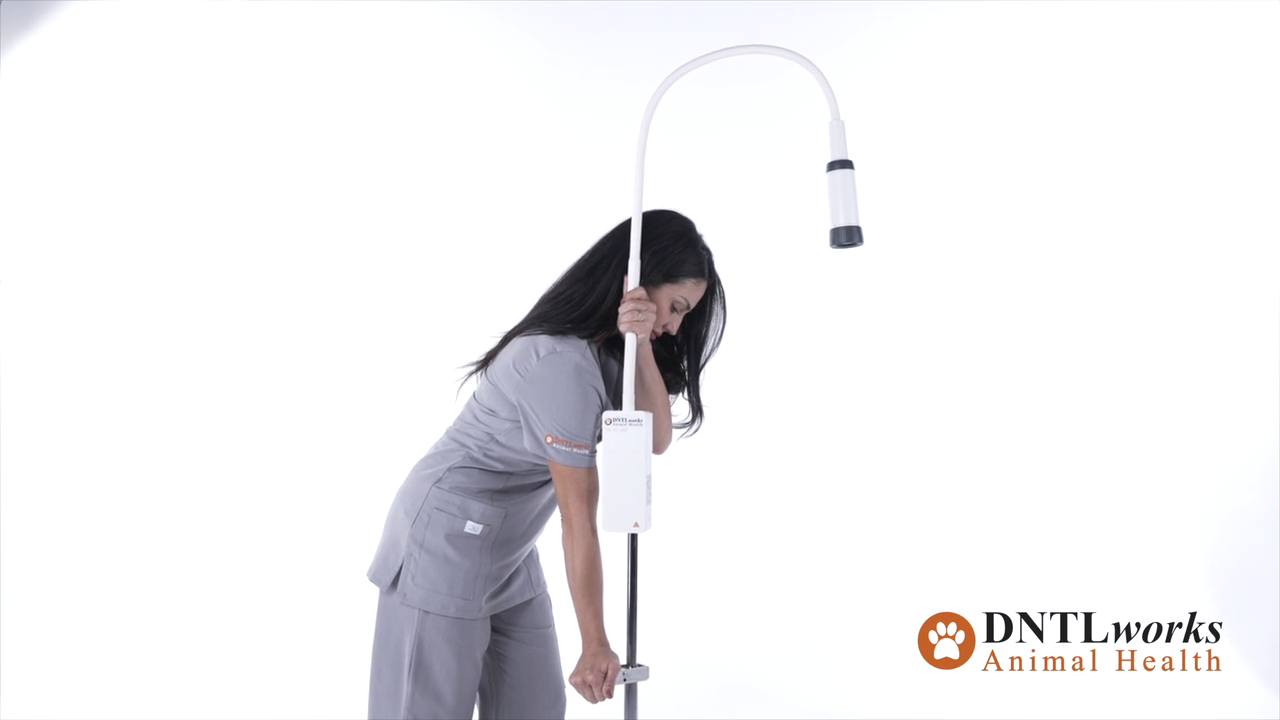 ProBrite LED 10 Exam Light