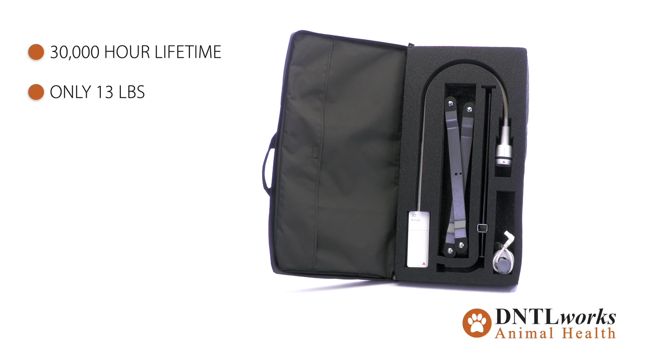 ProBrite LED 10 Exam Light