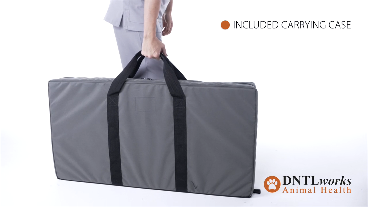 ProBrite LED 10 Exam Light