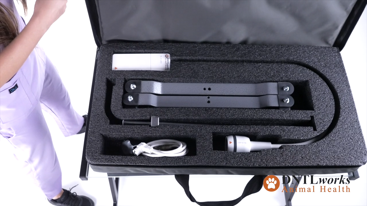 ProBrite Portable LED 3