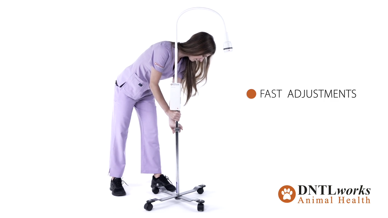 ProBrite Portable LED 3