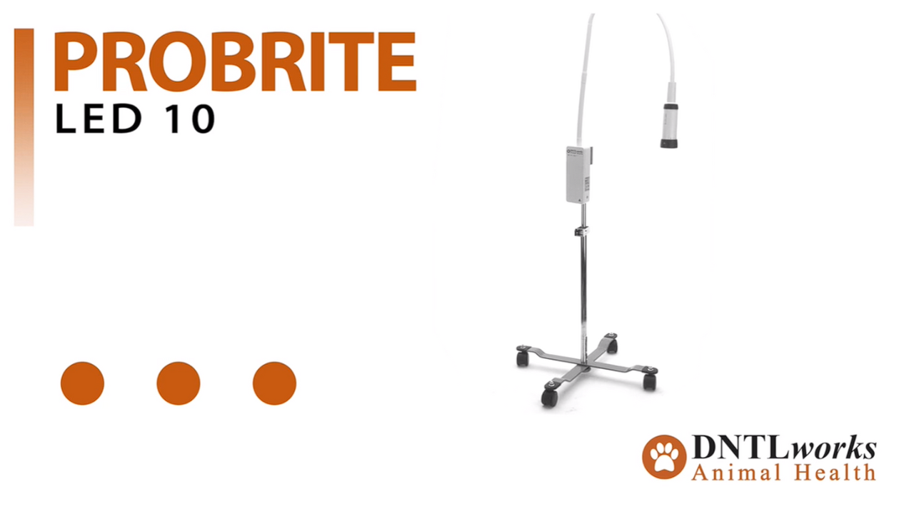 ProBrite LED 10 Exam Light