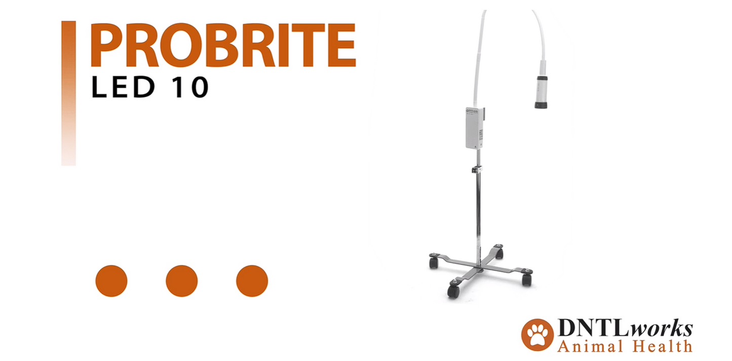 ProBrite LED 10 Exam Light