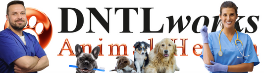 Why Portable Dental Equipment is a Game-Changer for Mobile Vets