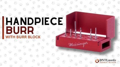 Handpiece Burrs With Burr Block