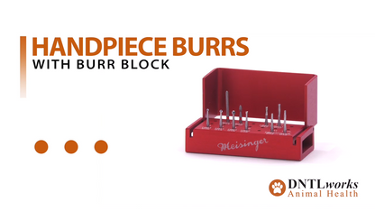 Handpiece Burrs With Burr Block
