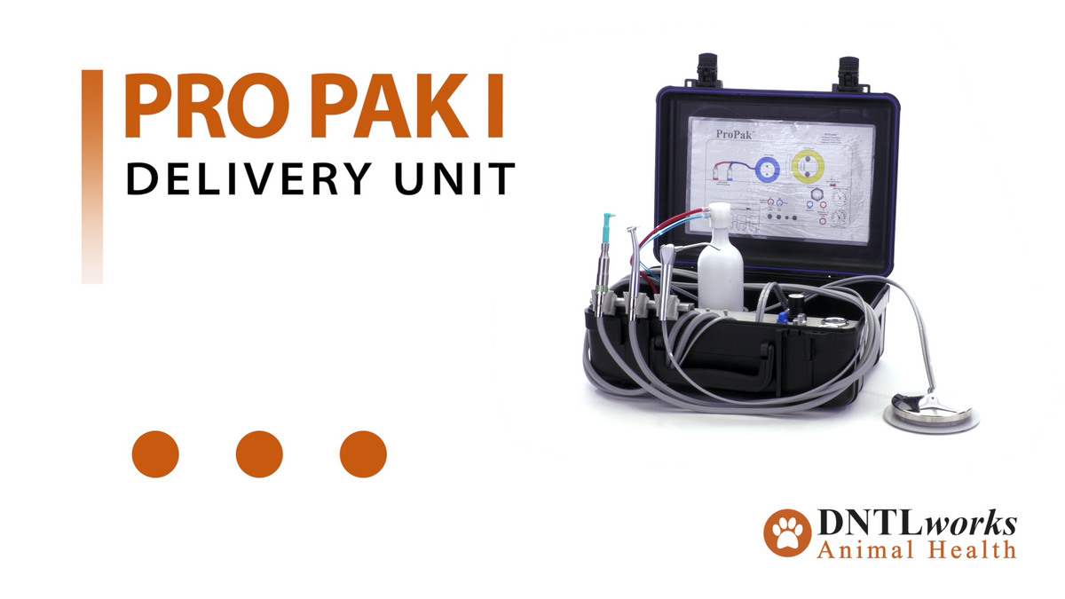ProPak I