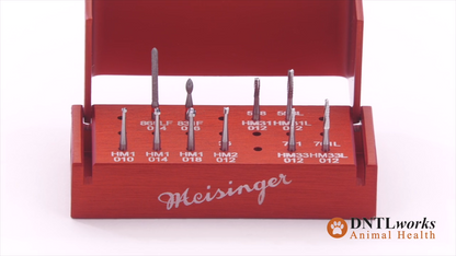 Handpiece Burrs With Burr Block