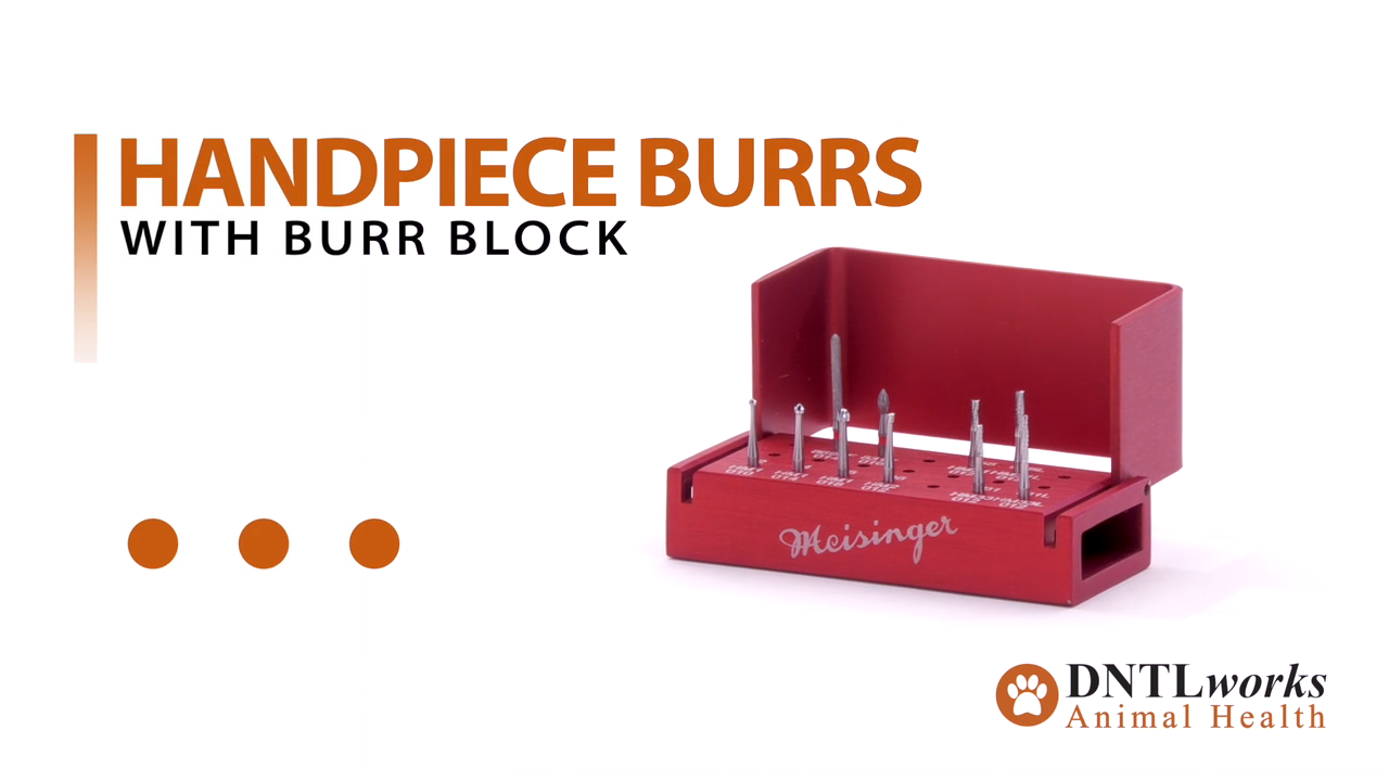 Handpiece Burrs With Burr Block