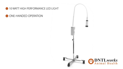 ProBrite LED 10 Exam Light